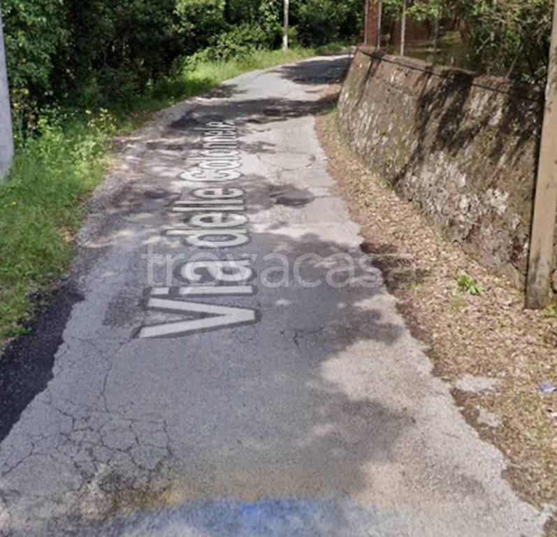 immagine annuncio 7 di 13