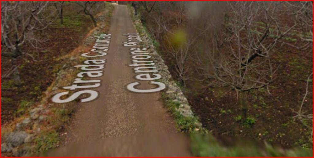 immagine annuncio 2 di 12