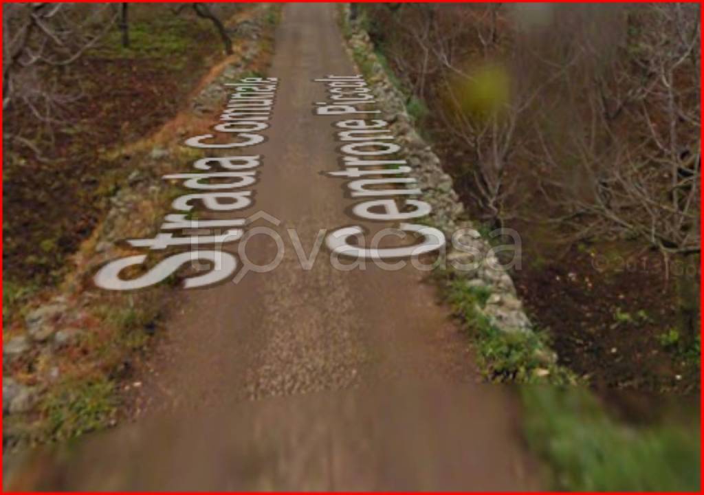 immagine annuncio 3 di 12