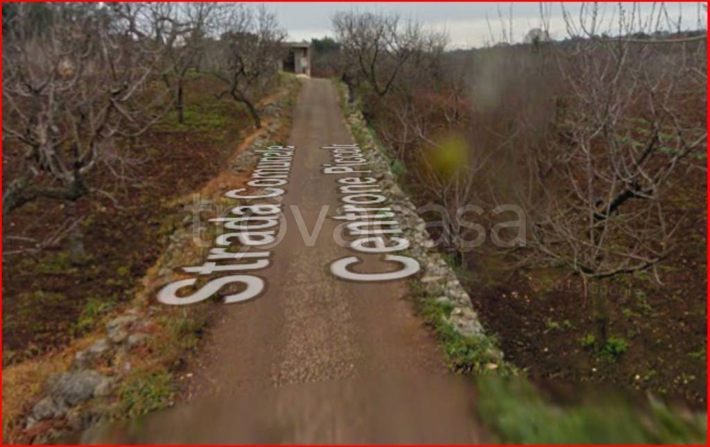 immagine annuncio 4 di 12