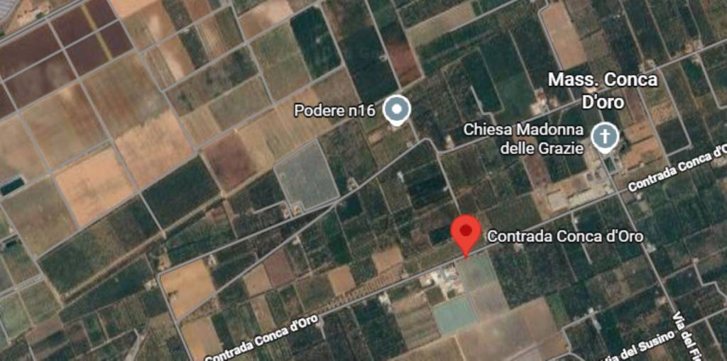 immagine annuncio 4 di 11