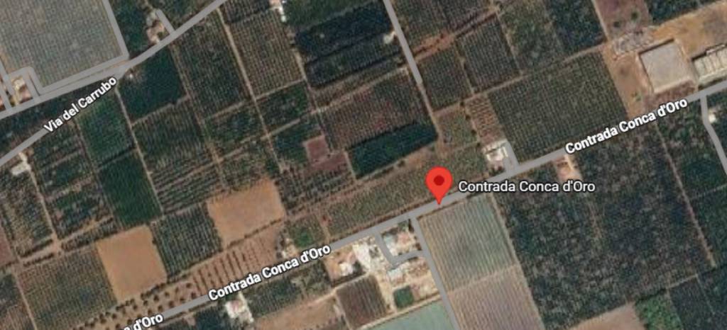 immagine annuncio 5 di 11