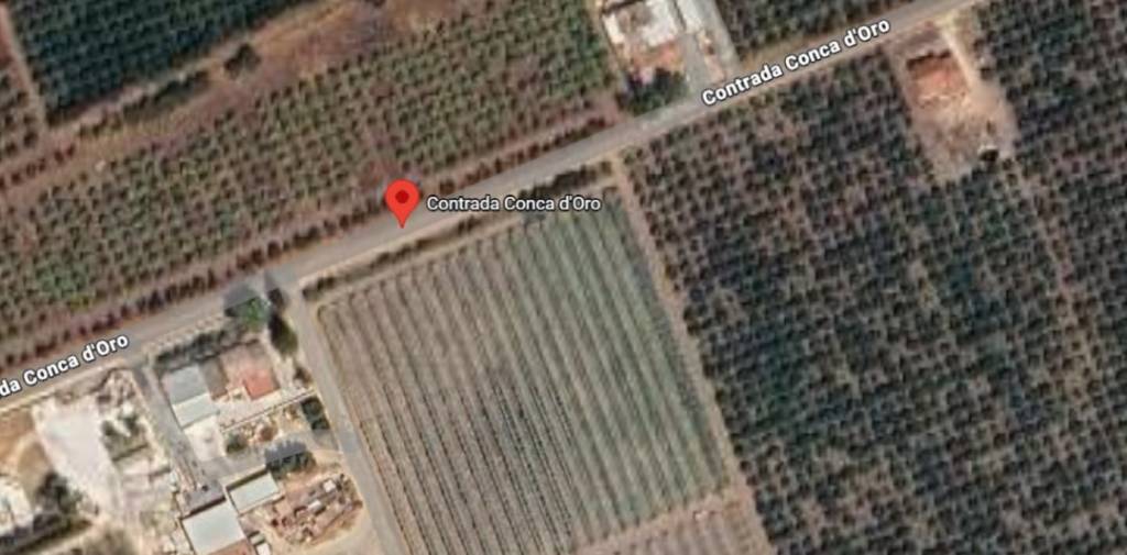 immagine annuncio 6 di 11