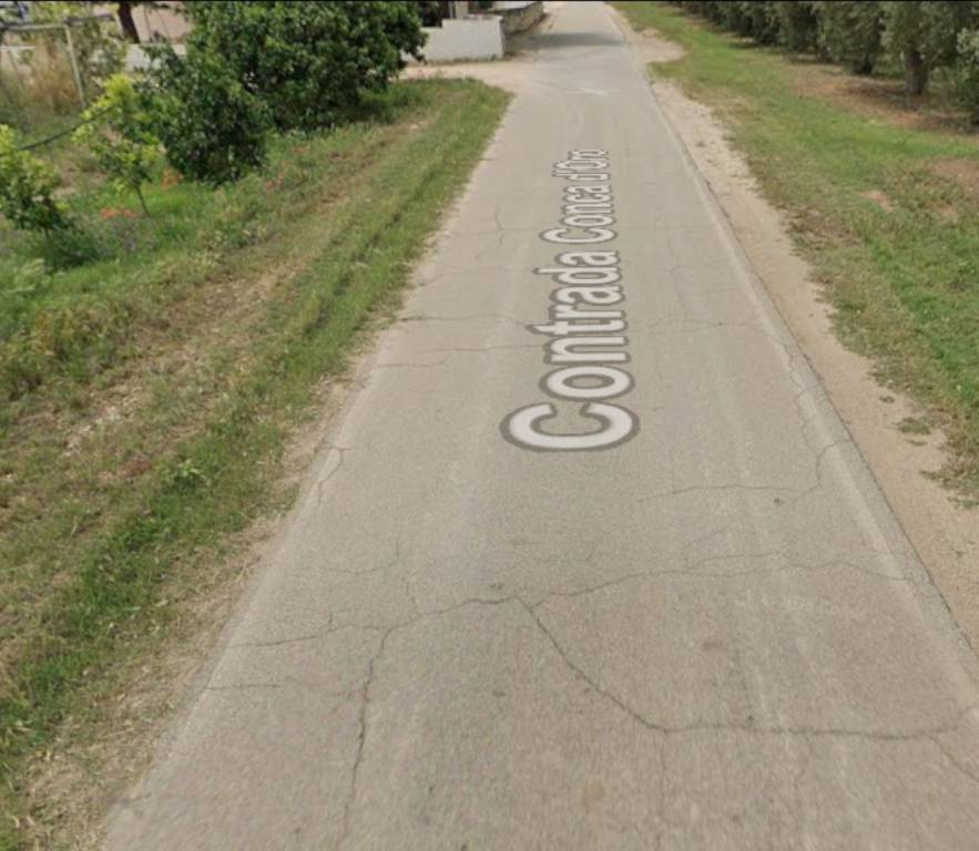 immagine annuncio 9 di 11