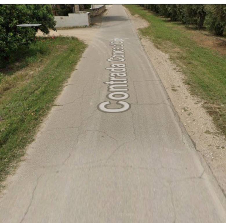 immagine annuncio 10 di 11