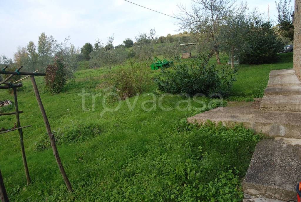 immagine annuncio 5 di 6