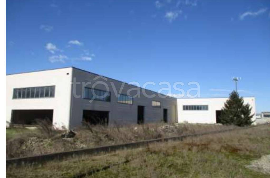 immagine annuncio 1 di 9