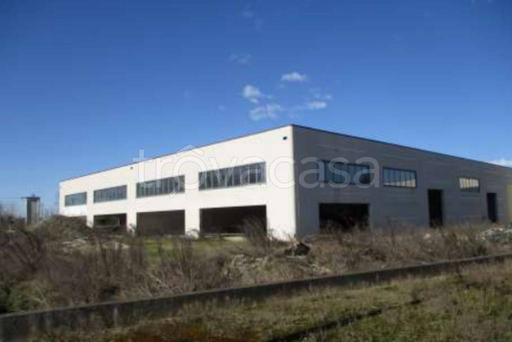 immagine annuncio 2 di 9