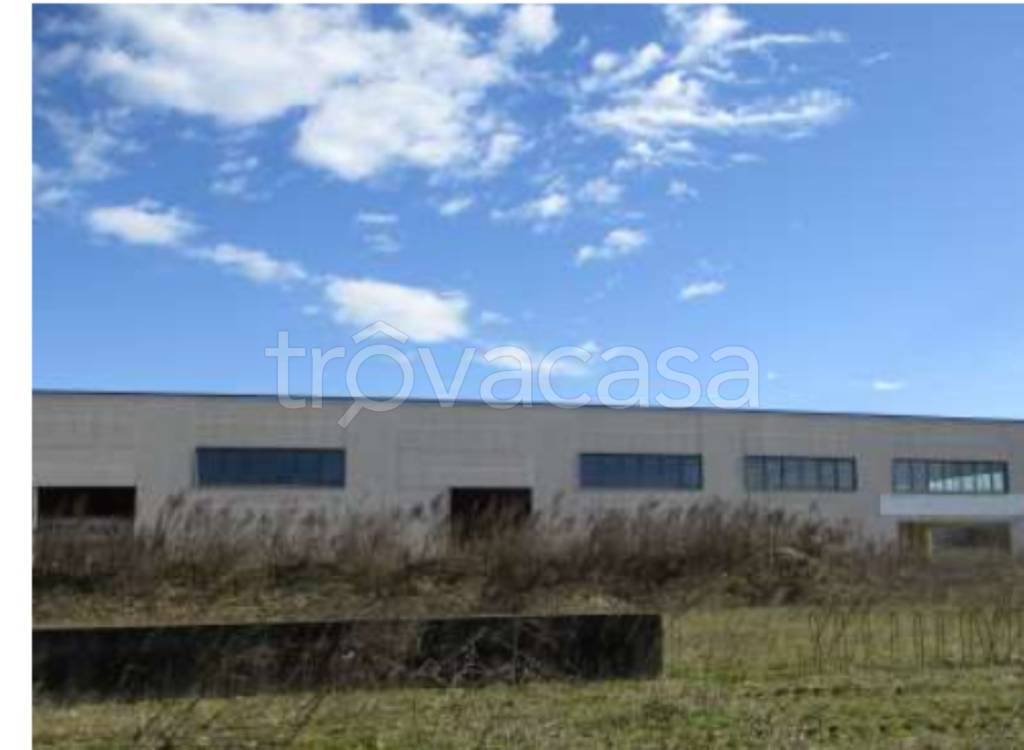 immagine annuncio 4 di 9