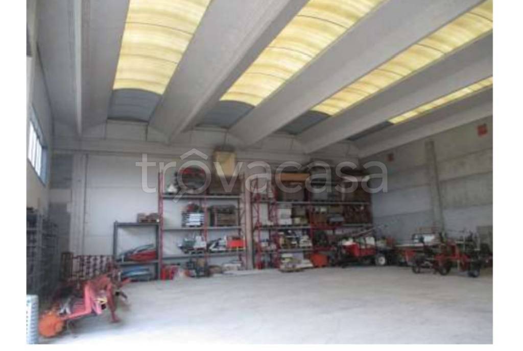 immagine annuncio 6 di 9