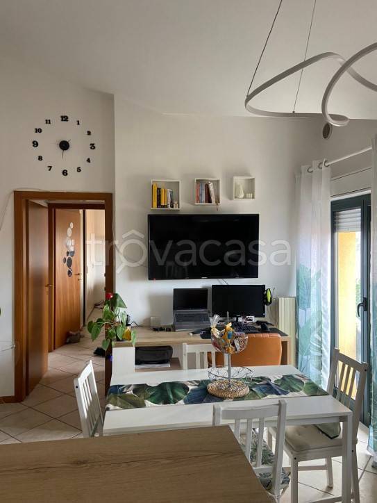 immagine annuncio 7 di 13