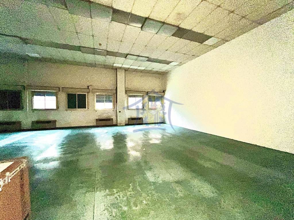 immagine annuncio 4 di 9