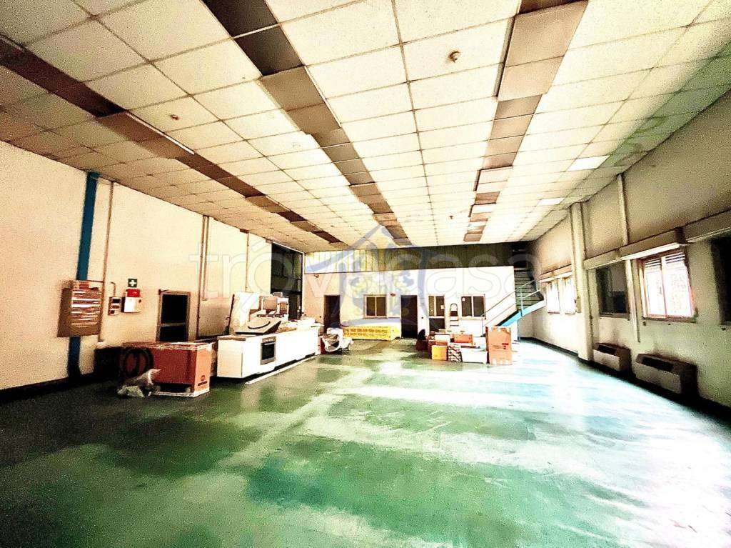 immagine annuncio 1 di 9