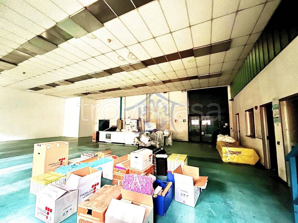 immagine annuncio 3 di 9