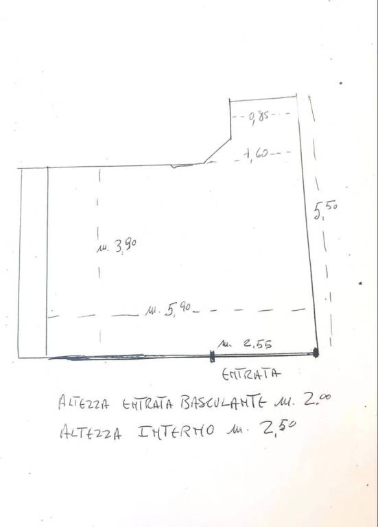 immagine annuncio 7 di 8