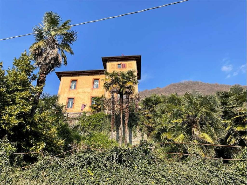 immagine annuncio 10 di 12