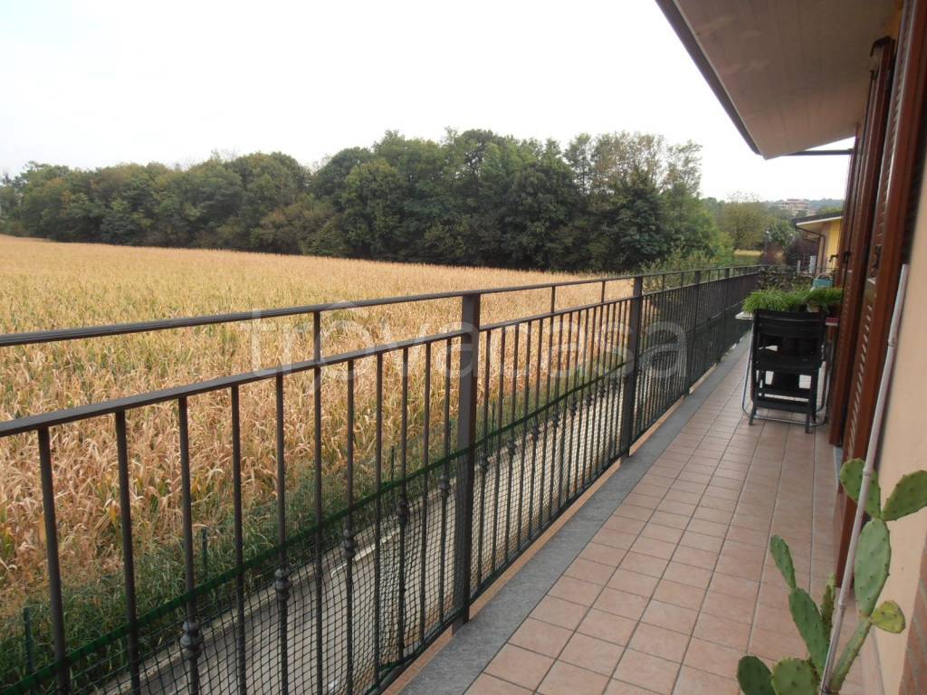 immagine annuncio 3 di 11