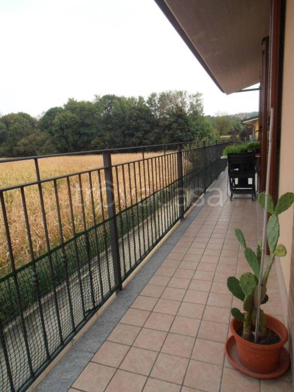 immagine annuncio 2 di 11