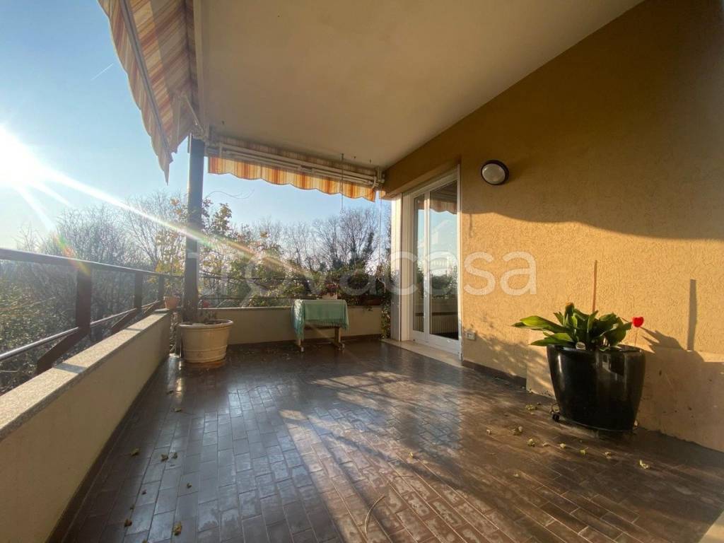 immagine annuncio 12 di 15