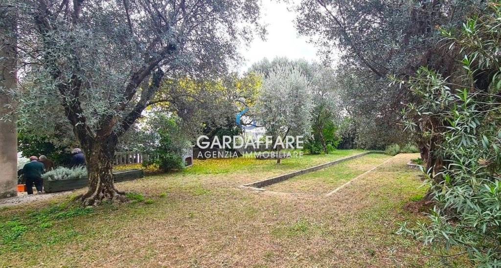 immagine annuncio 11 di 12