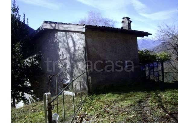 immagine annuncio 7 di 8