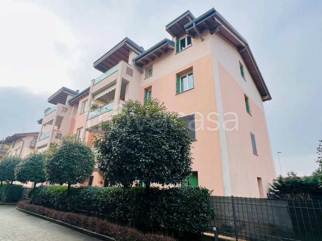 immagine annuncio 6 di 15