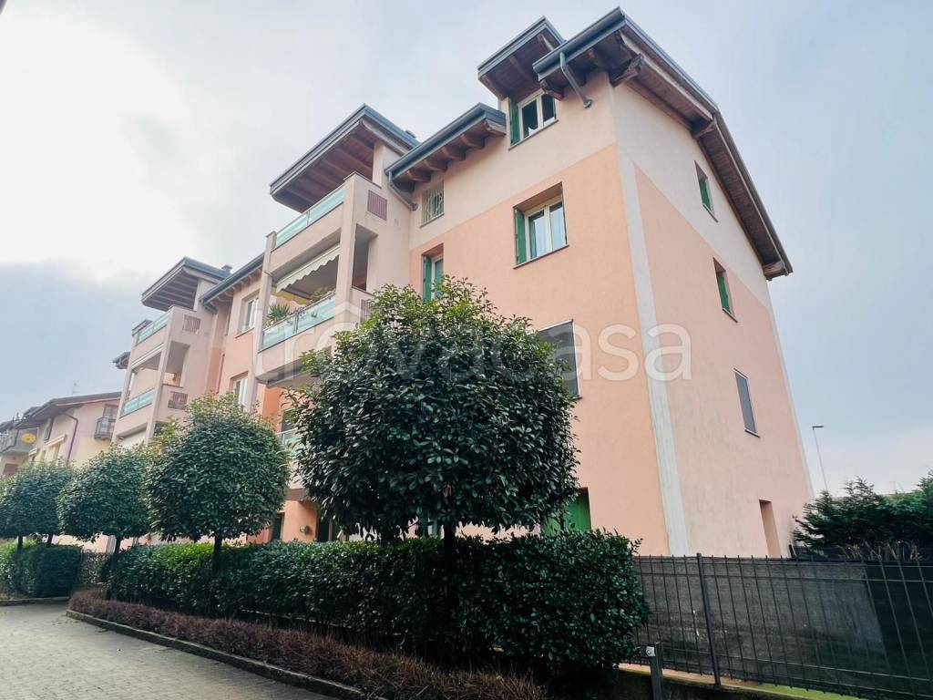 immagine annuncio 11 di 15