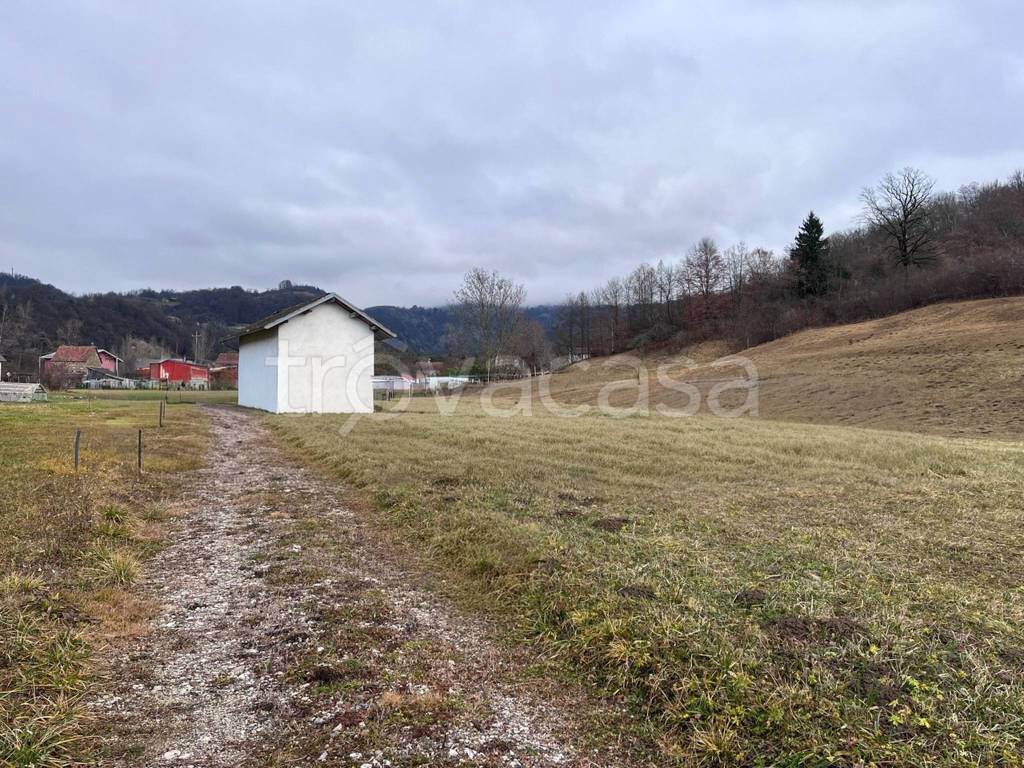 immagine annuncio 2 di 7