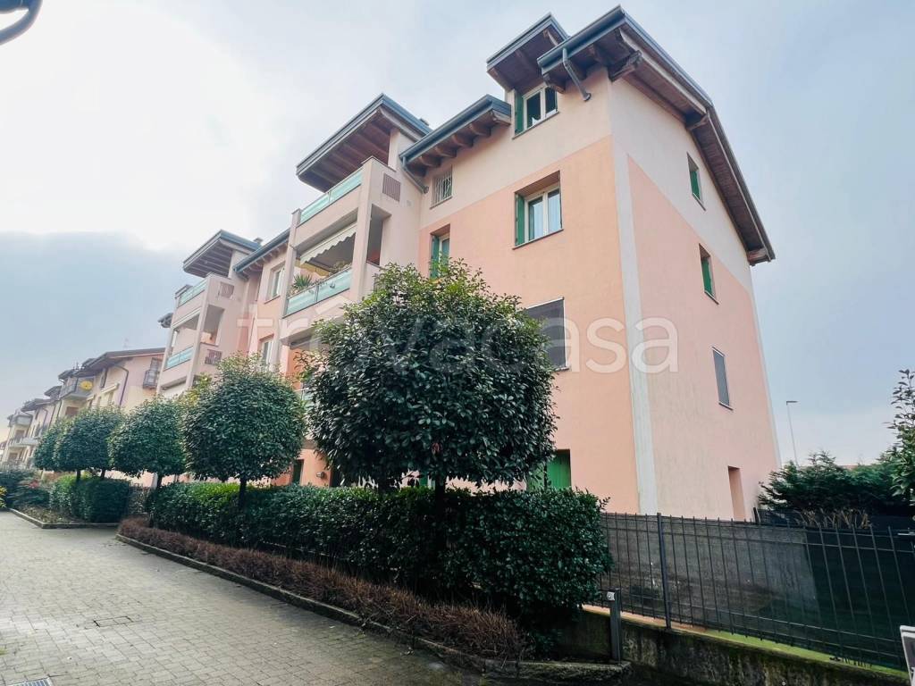 immagine annuncio 7 di 15