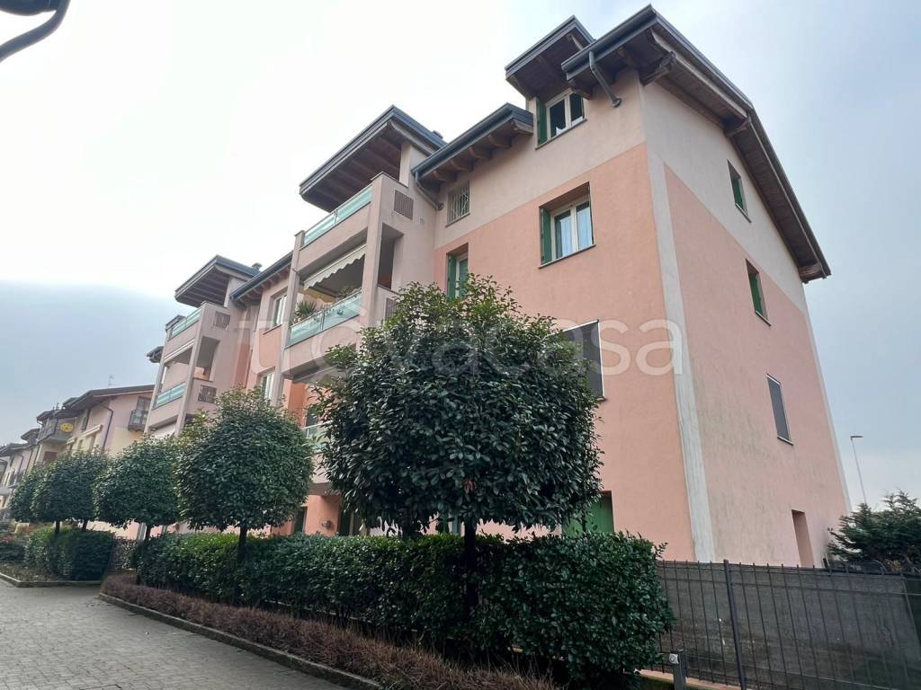 immagine annuncio 13 di 15