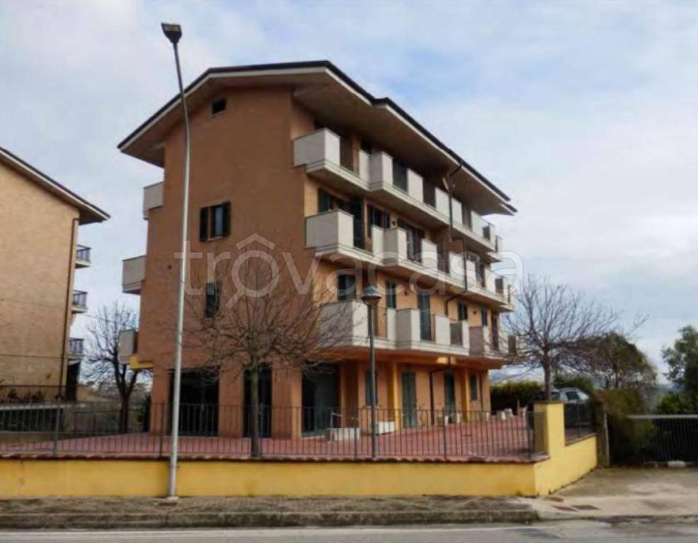 immagine annuncio 6 di 14