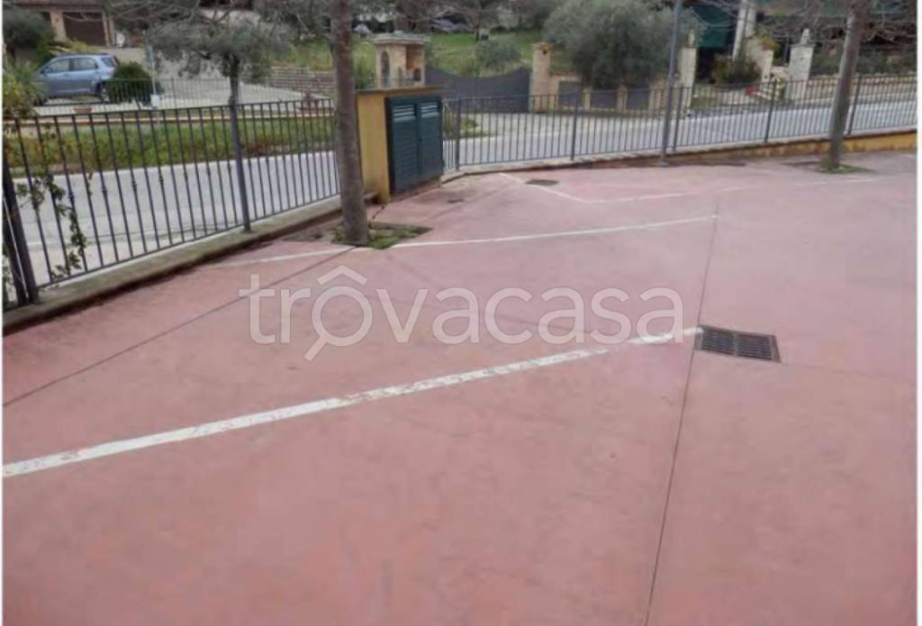 immagine annuncio 9 di 14