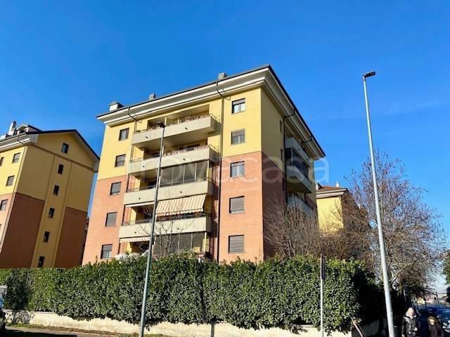 immagine annuncio 6 di 7