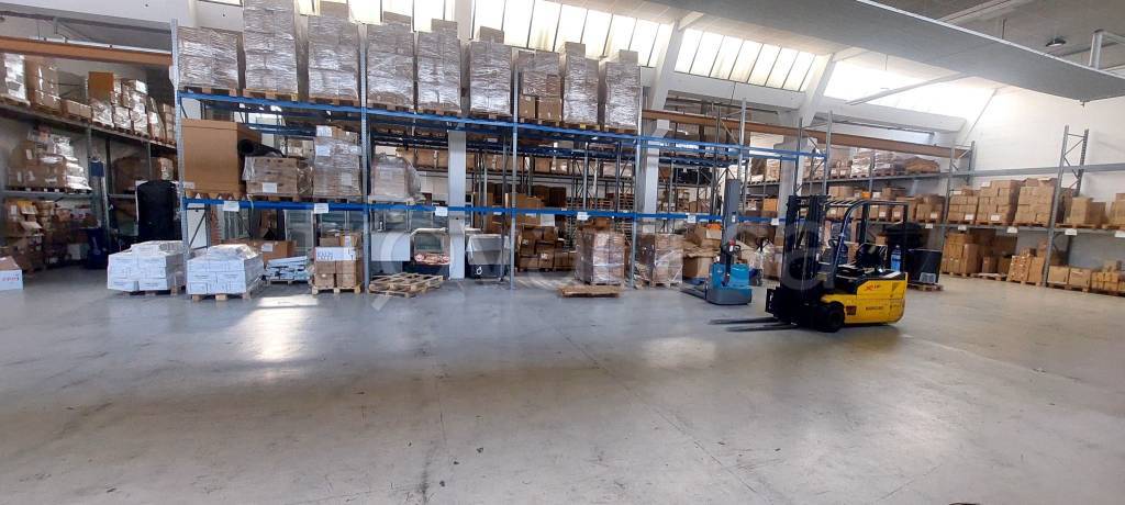 immagine annuncio 8 di 15