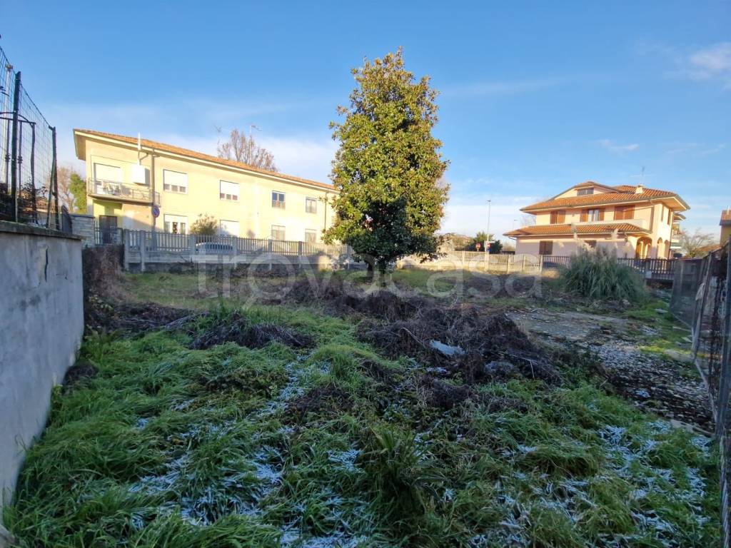 immagine annuncio 4 di 12