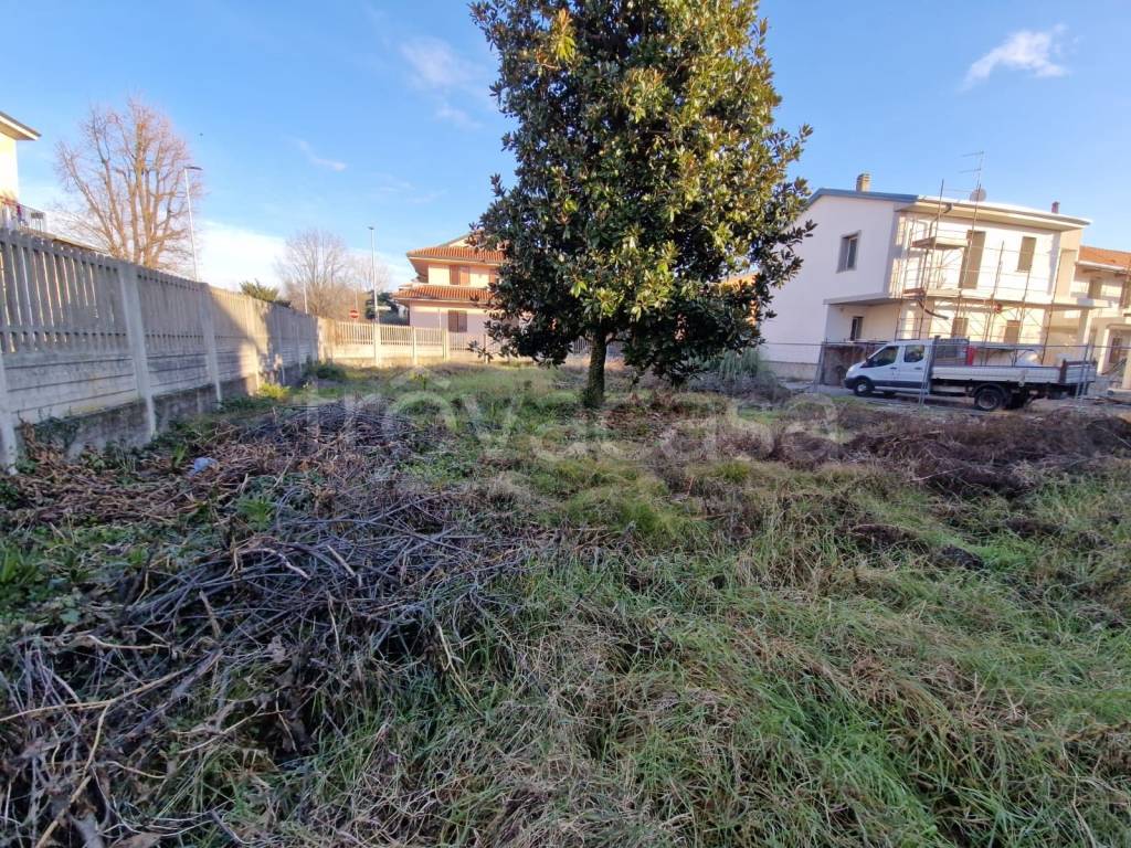 immagine annuncio 2 di 12