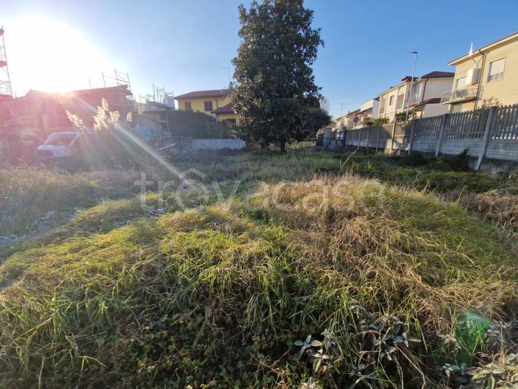 immagine annuncio 3 di 12