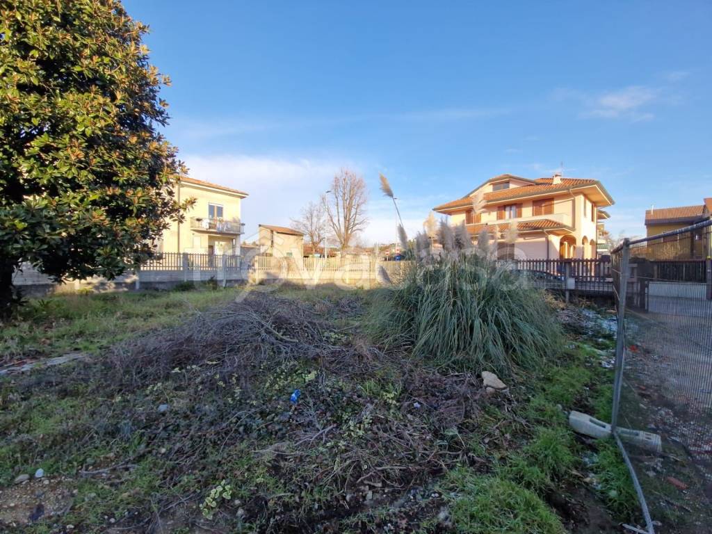 immagine annuncio 1 di 12