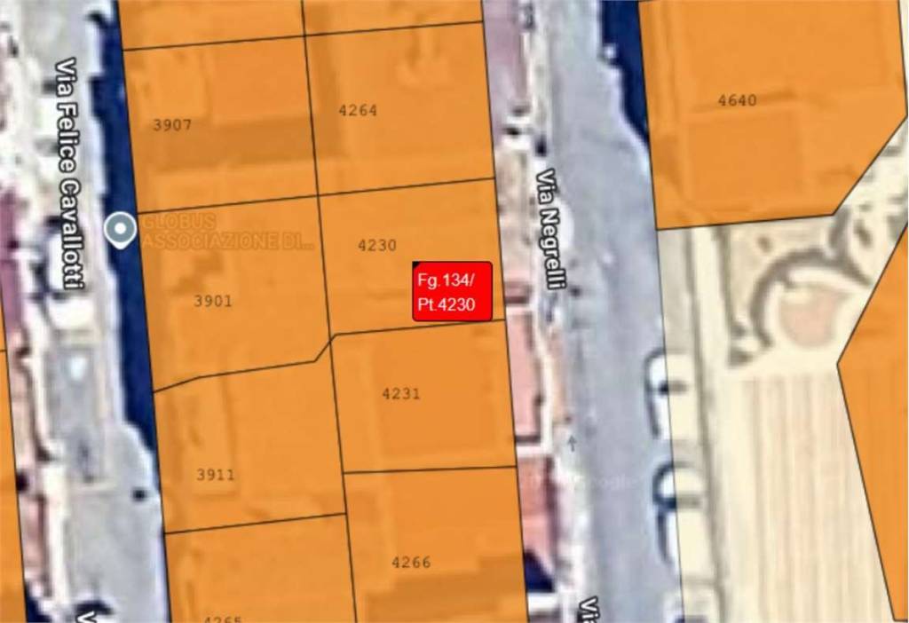 immagine annuncio 1 di 13