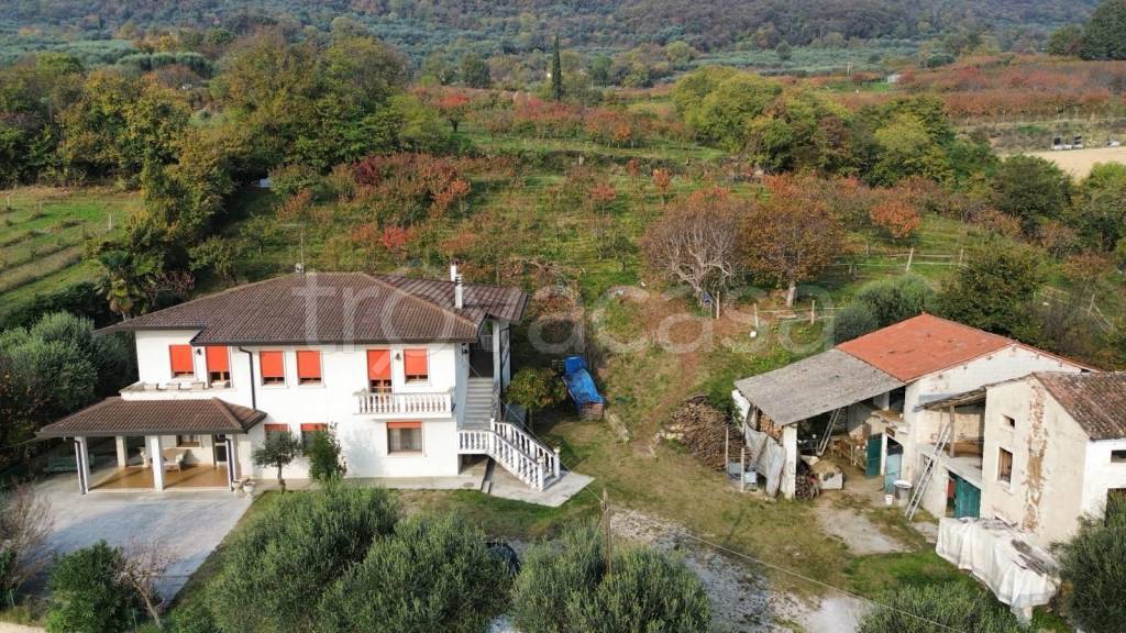 immagine annuncio 4 di 7