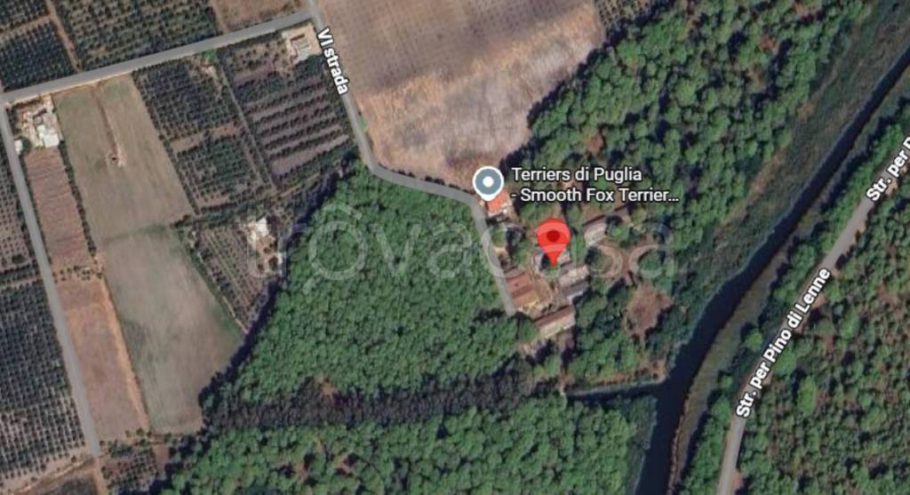 immagine annuncio 1 di 9