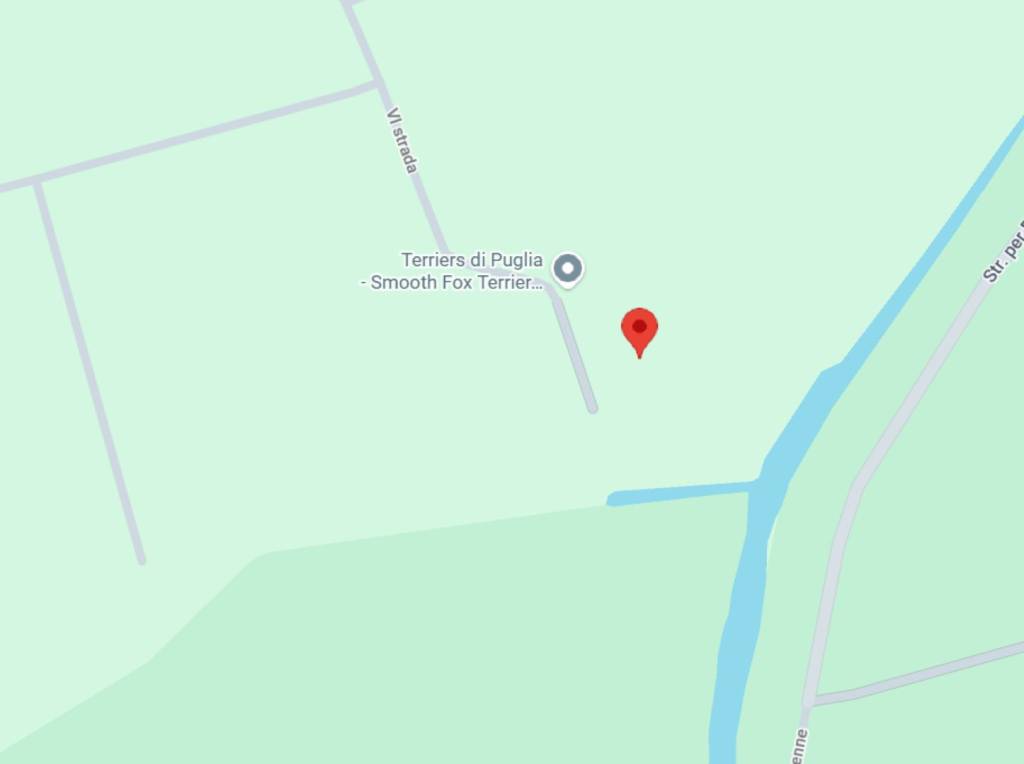 immagine annuncio 5 di 8