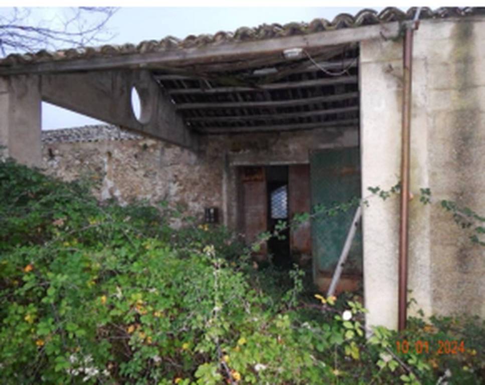 immagine annuncio 2 di 11