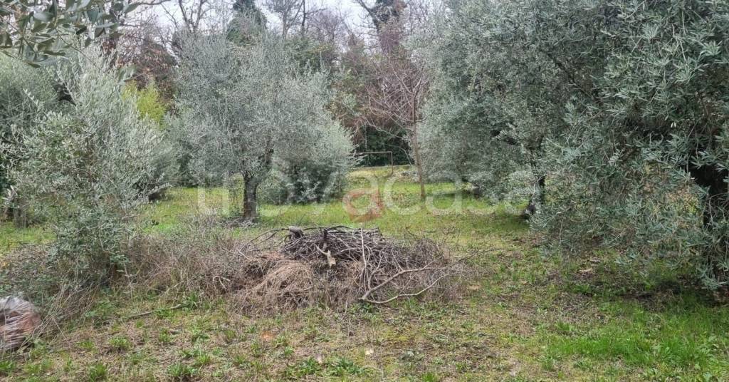 immagine annuncio 4 di 13