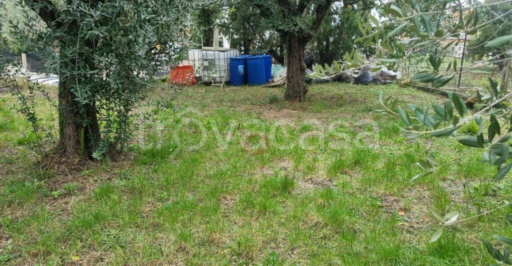 immagine annuncio 8 di 13