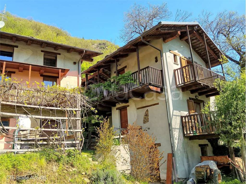 immagine annuncio 1 di 15