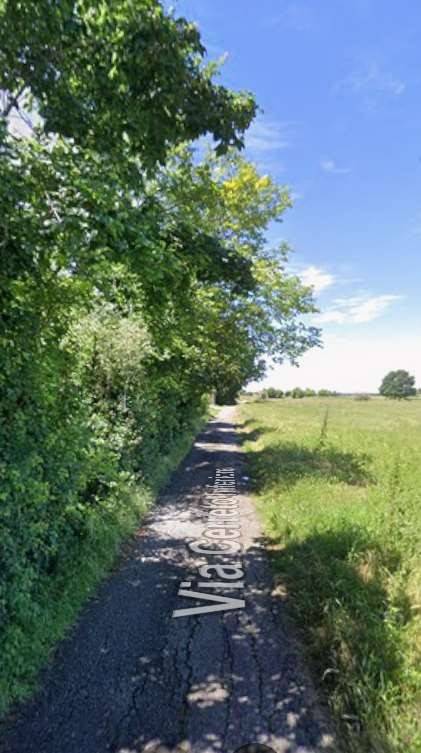 immagine annuncio 6 di 12