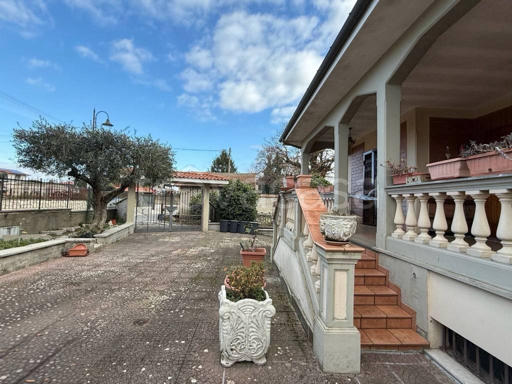 immagine annuncio 8 di 15