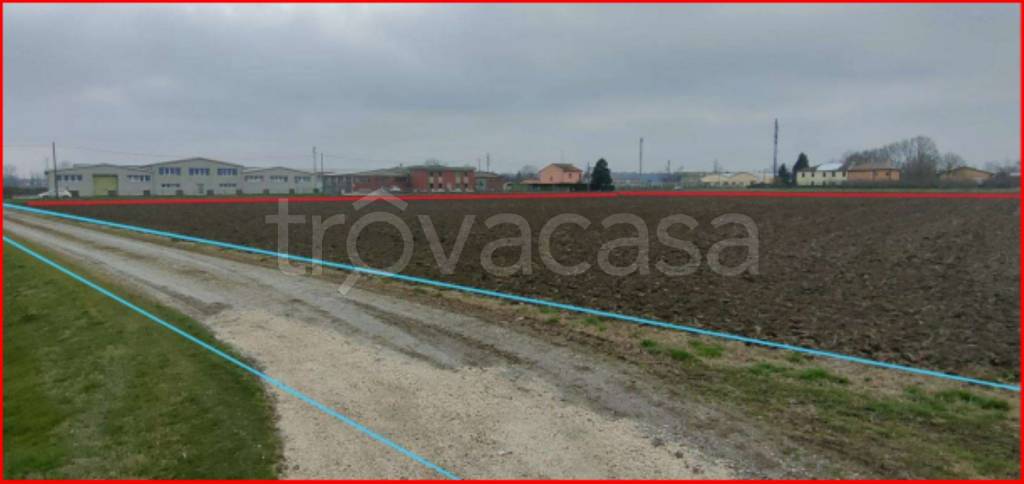 immagine annuncio 2 di 12