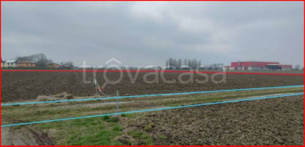 immagine annuncio 3 di 12